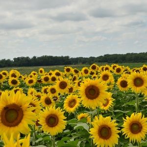 Meet your Posher, Corinna